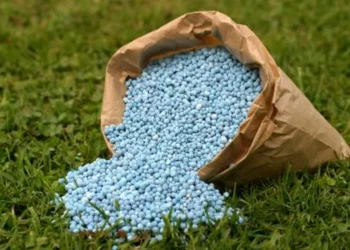 produtora mundial de fertilizante potássico