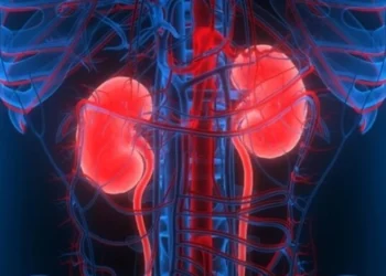 insuficiência renal, problemas renais, doença nos rins