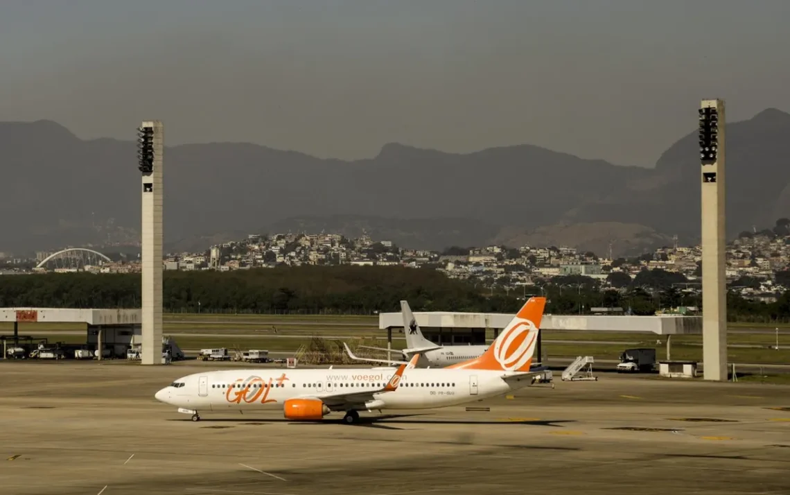 transporte de animais, transporte de animais de estimação, serviço de transporte de animais de estimação