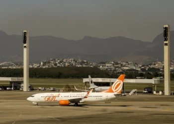 transporte de animais, transporte de animais de estimação, serviço de transporte de animais de estimação