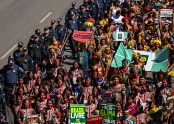 nativos, povos originários, ameríndios