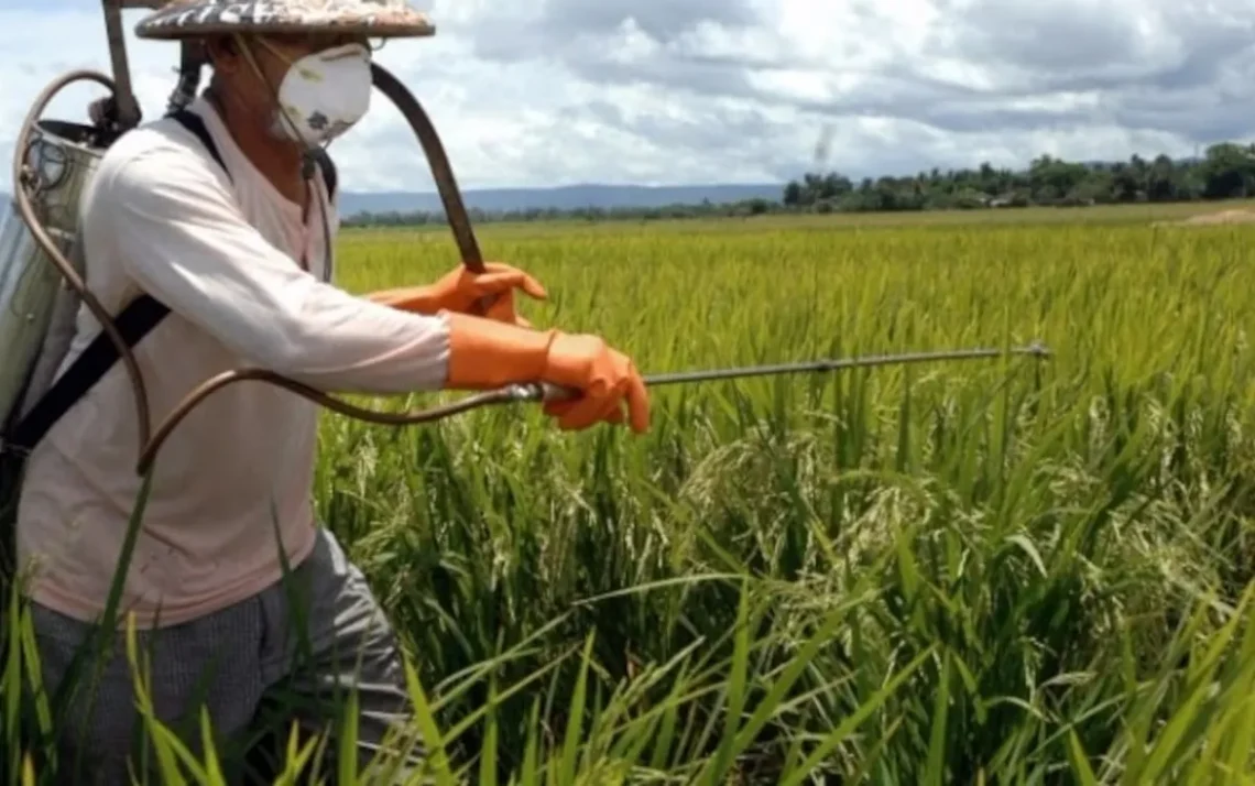 crises ambientais, variações climáticas, impactos ambientais