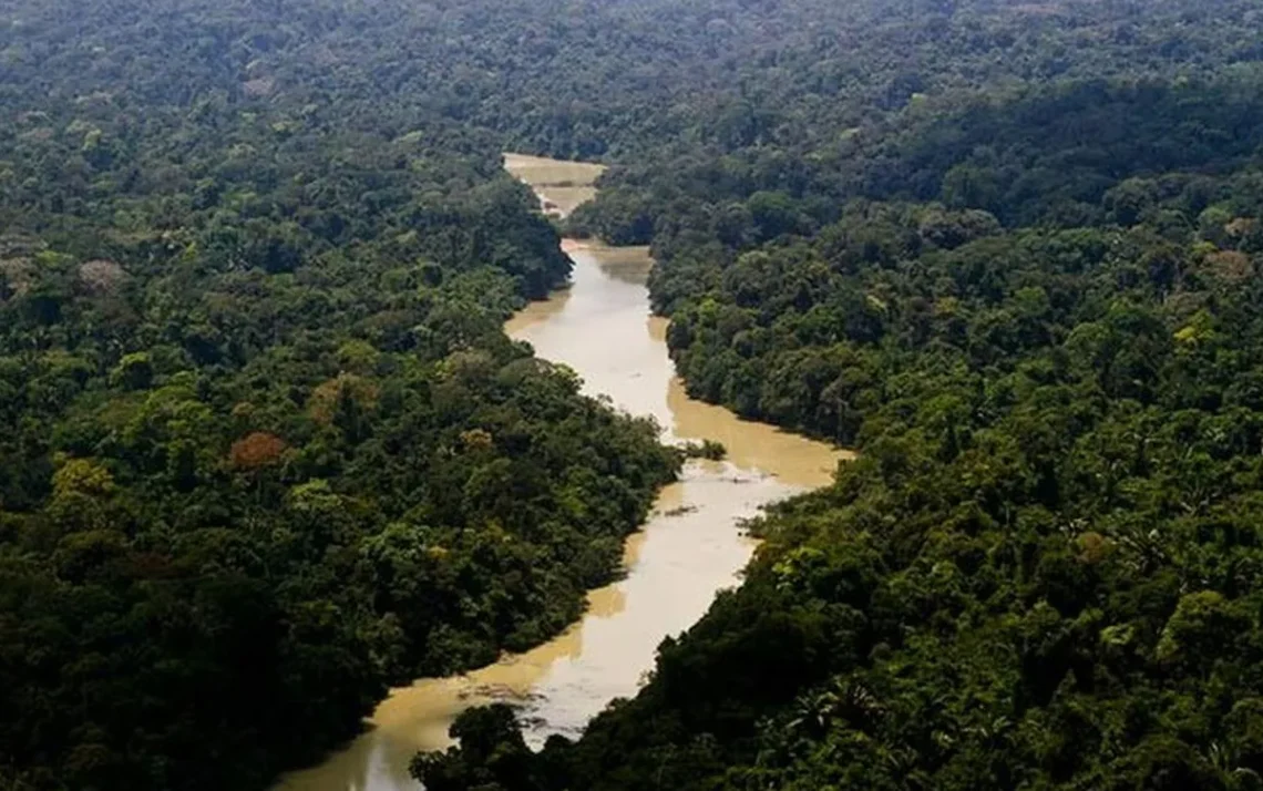 Preservação ambiental