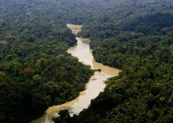 Preservação ambiental