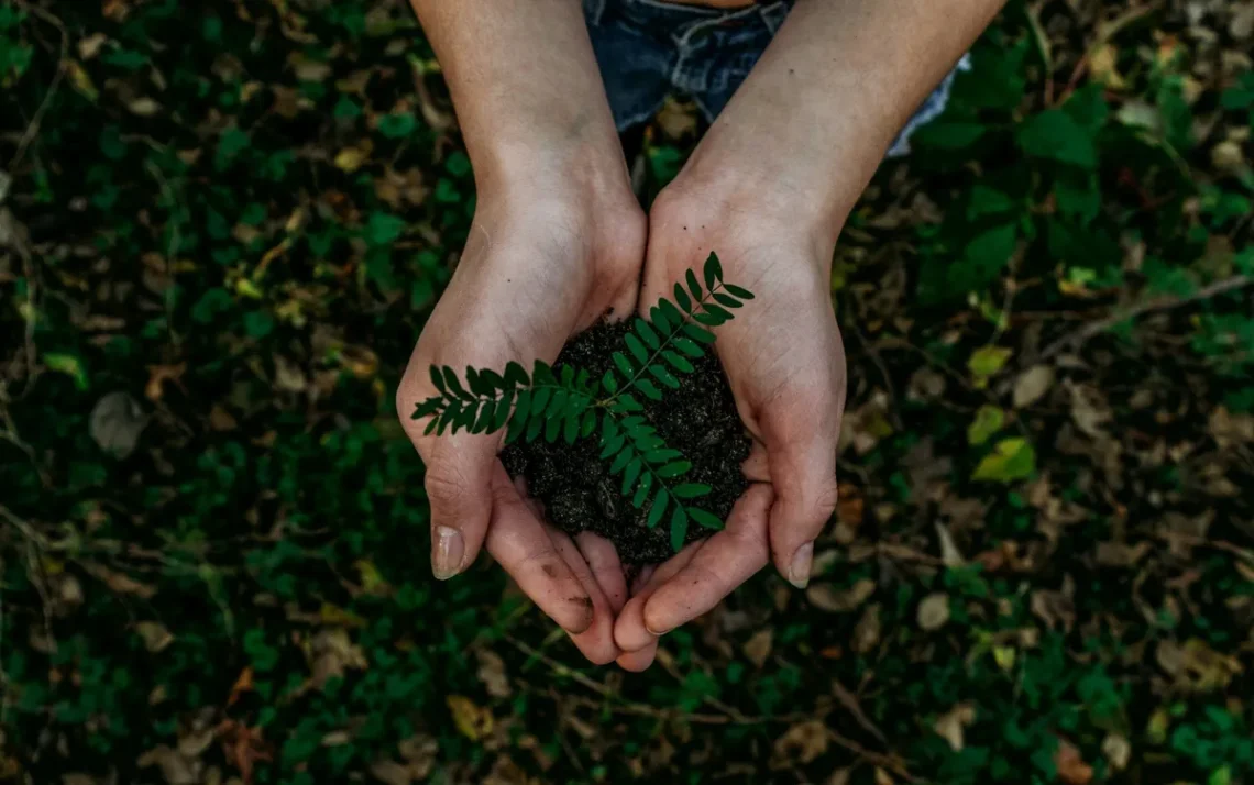 preservação, da biodiversidade, conservação, da biodiversidade, proteção, da biodiversidade;