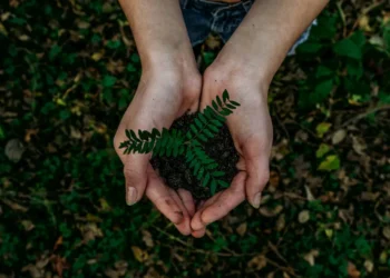 preservação, da biodiversidade, conservação, da biodiversidade, proteção, da biodiversidade;