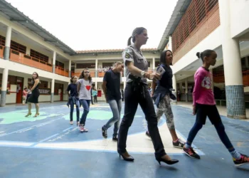 instituições cívico-militares, escolas militarizadas, instituições militarizadas;