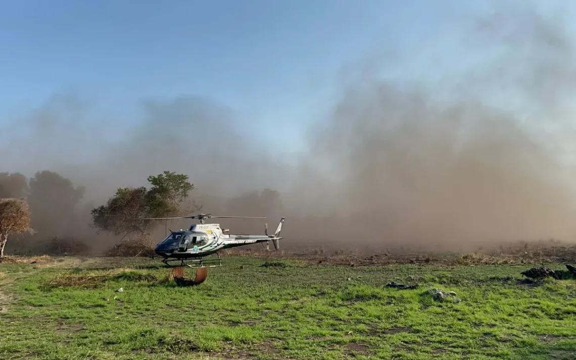 queimadas, focos, de incêndio, incêndios, florestais;