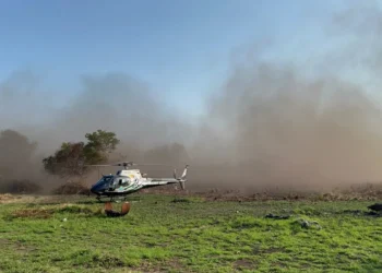 queimadas, focos, de incêndio, incêndios, florestais;