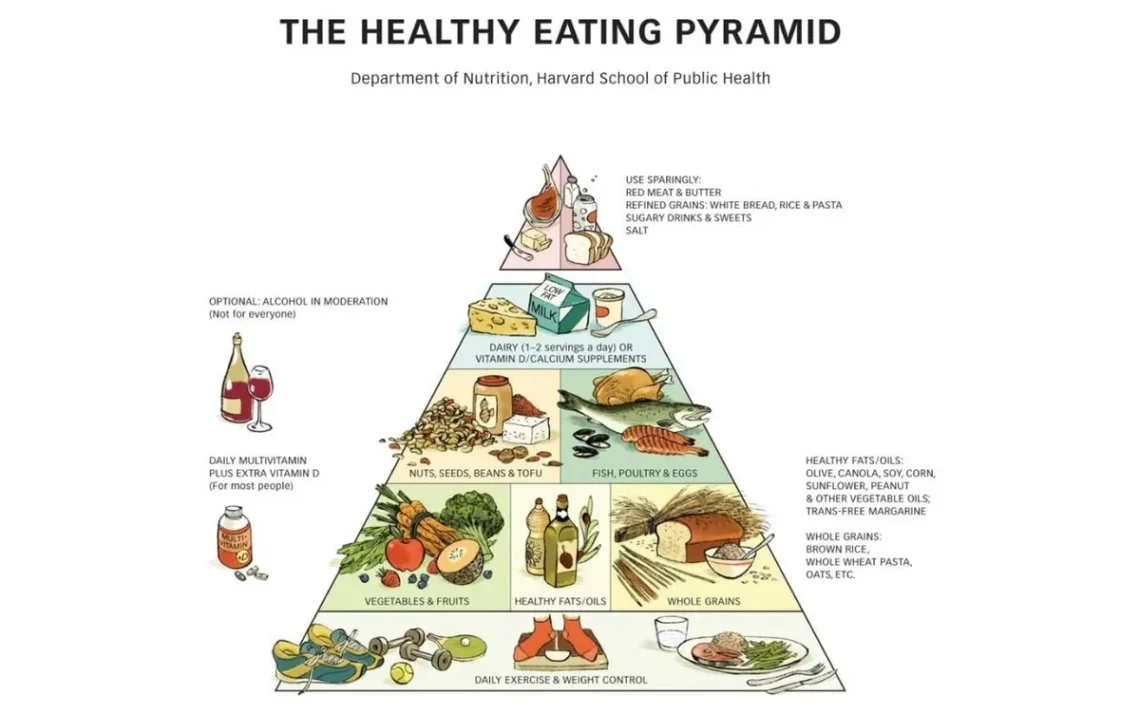 pirâmide da alimentação, dieta saudável, alimentação saudável;
