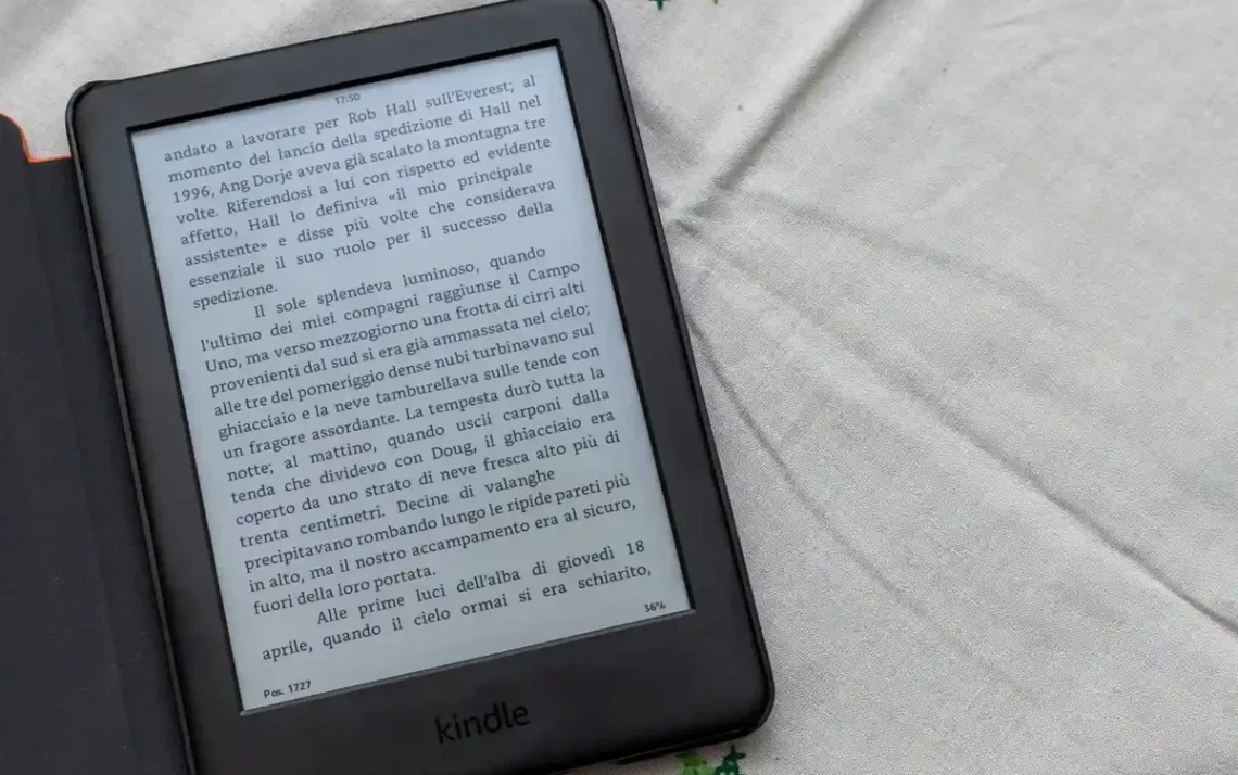 e-reader, leitor, digital, telas, de e-readers;