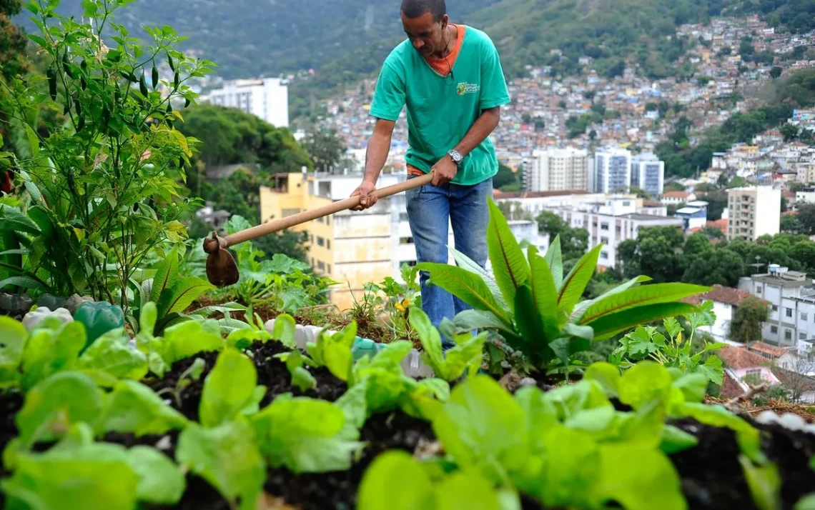 produção, de alimentos, nas cidades, agricultura, urbana e, periurbana;