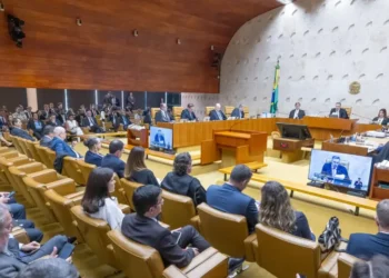 Interrupção, gravidez voluntária;